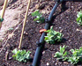 1001772hj5.jpg