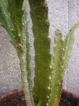 DSC01272.jpg