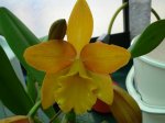 DSC00877.JPG