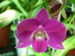 DSC00878.JPG