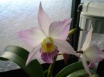 DSC00881.JPG