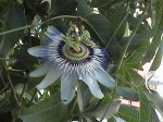 DSC00134.JPG
