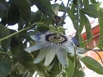 DSC00135.JPG