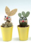 cactus-lidl.jpg