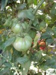 DSCN1655.JPG