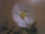 22-03-07_2027.jpg