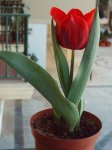 IMG_0226.JPG