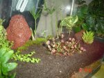 DSC04995.JPG