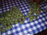 feijoas.jpg