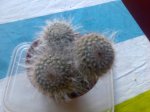 Imagen032.jpg