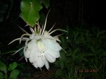 Imagen 018.jpg