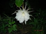 Imagen 019.jpg