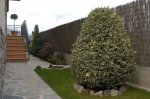 primavera1.jpg