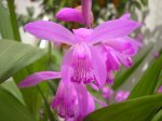 Image00001.jpg
