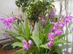 Image00002.jpg