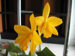 Image00004.jpg
