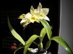 Image00005.jpg