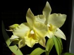 Image00006.jpg