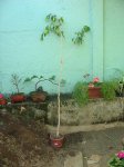 Imagen 013.jpg