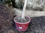 Imagen 014.jpg