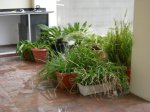 20070328-017.jpg