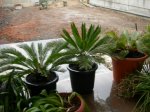 20070328-022.jpg
