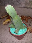 DSCN4757.JPG