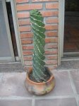 DSCN4755.JPG