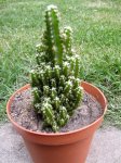 DSCN4536.JPG
