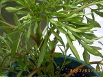 PICT0026.jpg