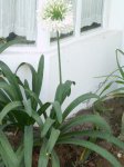 infojardin 041.jpg