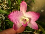 DSC00922.JPG