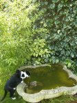 Felisa bebiendo.jpg