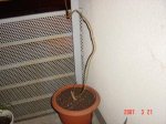 DSC04550.JPG