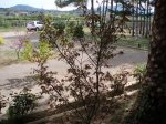 P1010133.JPG