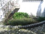 DSC03461.JPG