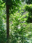 DSC02023.JPG