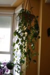 IMG_1255 bis.jpg
