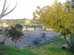 DSC00965.JPG