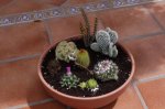 image0004.jpg
