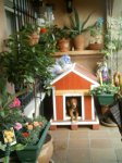 Reajustado_El guardian del Jardin.jpg
