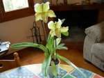 DSCN0913.JPG