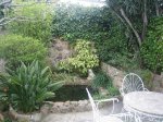 IMG_2529.JPG