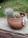 DSCN4548.JPG