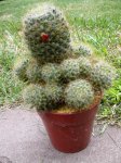DSCN4550.JPG