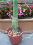 DSCN4551.JPG