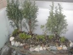 Dscn1312.jpg