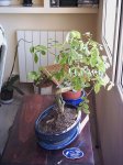 PICT0030.JPG