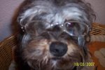 marzo2007 013.jpg