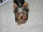 MI NIÑA 4.JPG